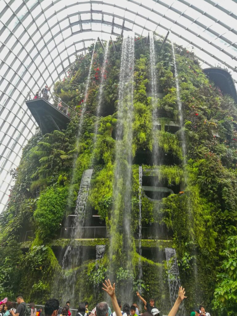 Cloud forest singapore gardens by the bay