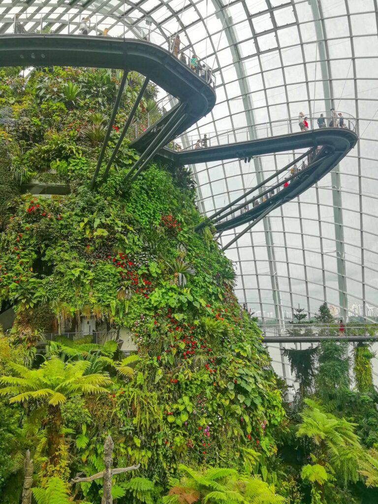 Cloud forest singapore gardens by the bay