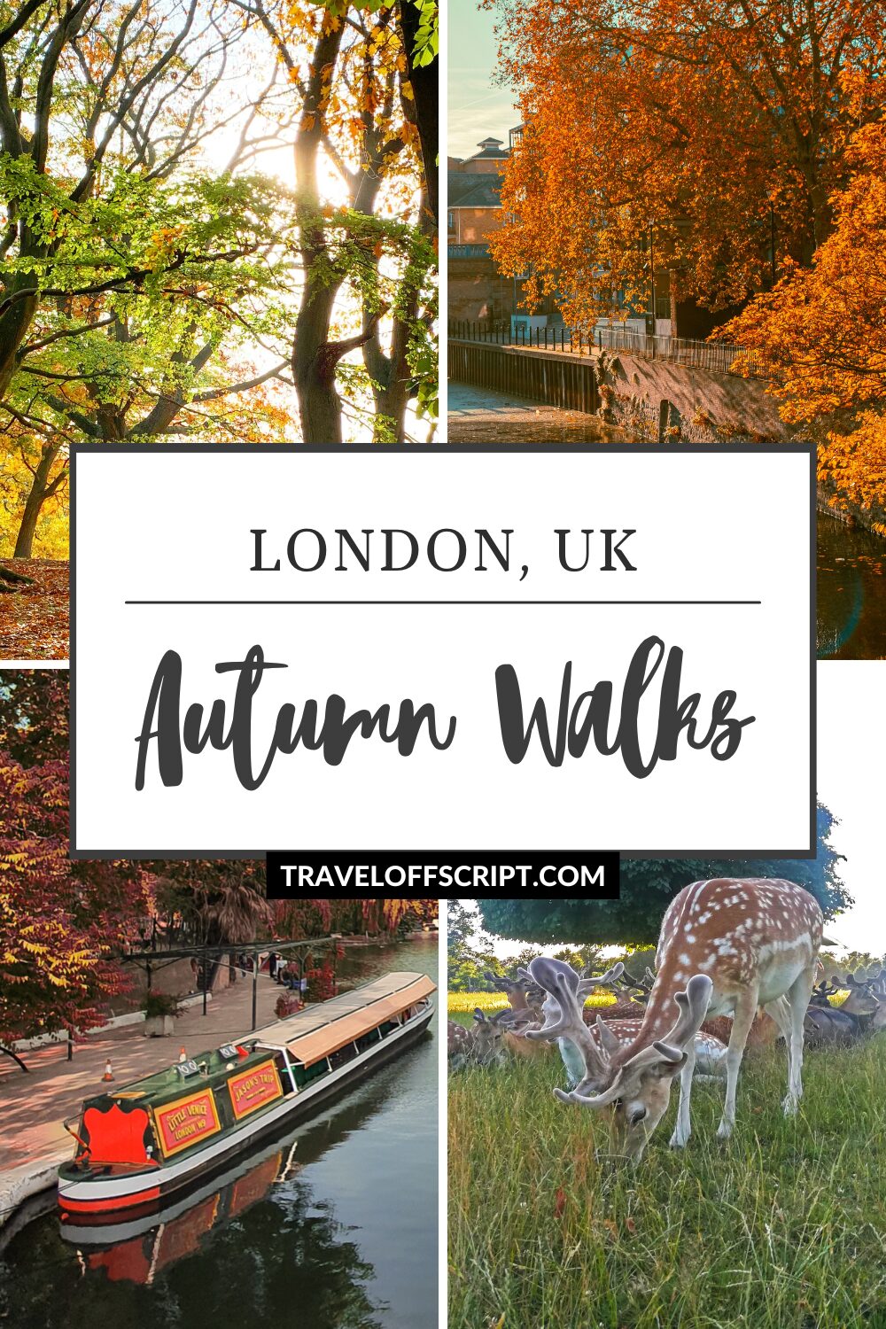 best london autumn walks fall foliage - traveloffscript