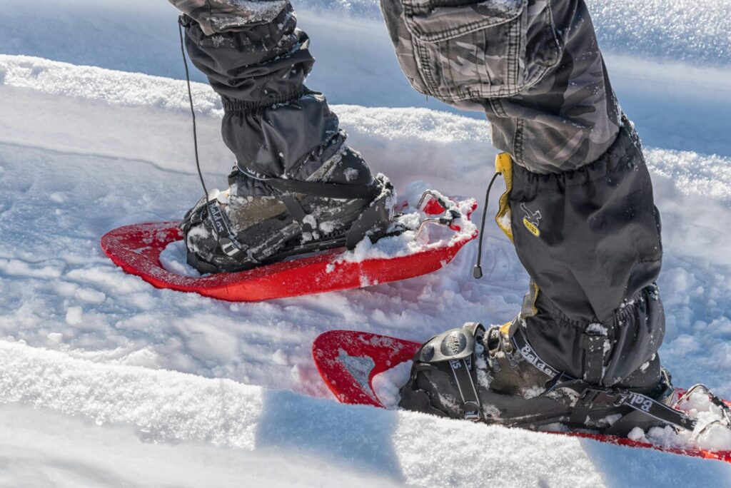 Snowshoeing in winter