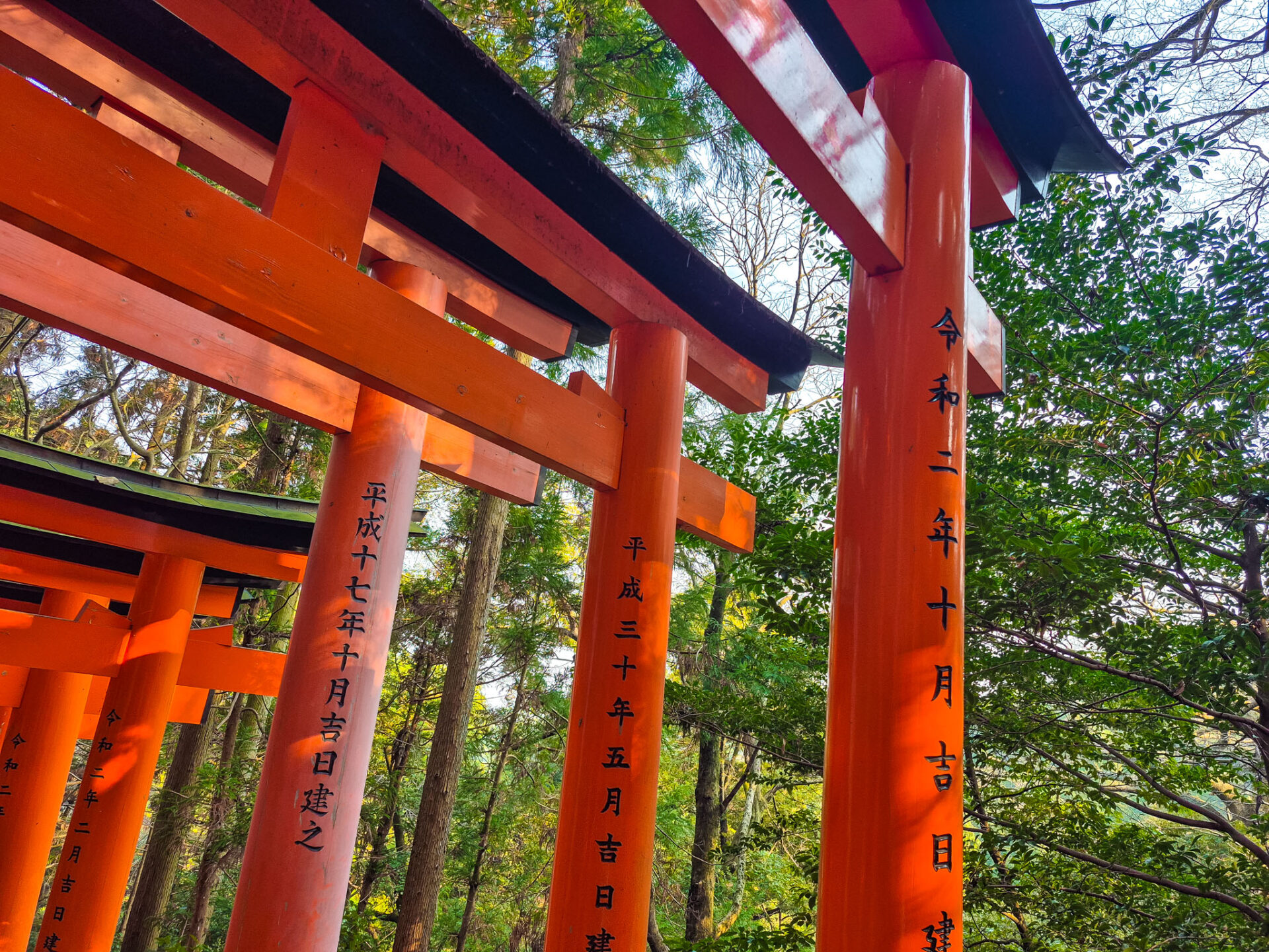 Fushimi Inari Shrine closeup kyoto - traveloffscript