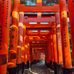 gates fushimi inari shrine 2 kyoto - traveloffscript