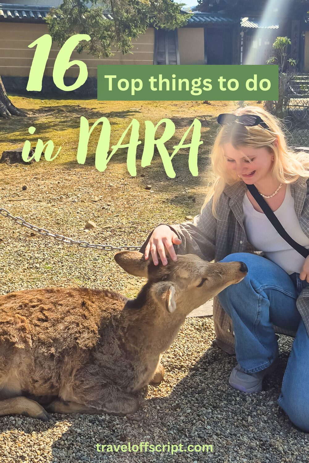 16 top things to do in nara 2025 - traveloffscript