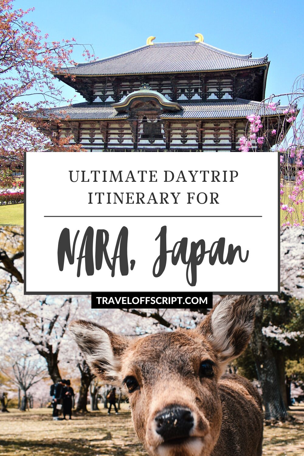 ultimate daytrip itinerary for nara - traveloffscript