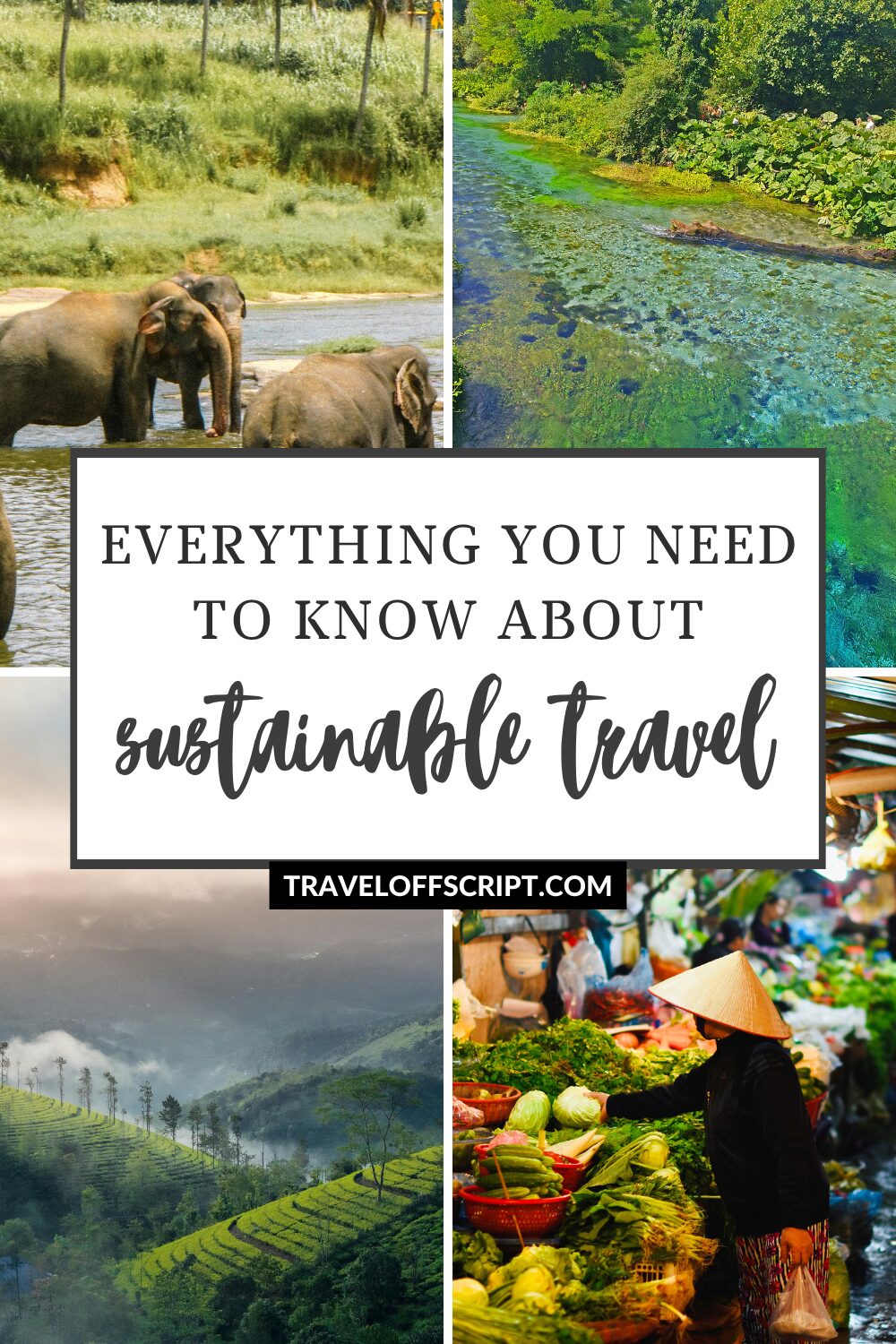 everything you need to know about sustainable travel - traveloffscript