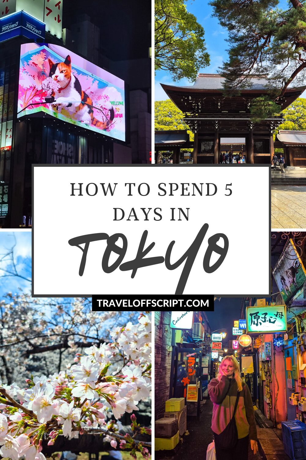 how to spend 5 days in tokyo - traveloffscript
