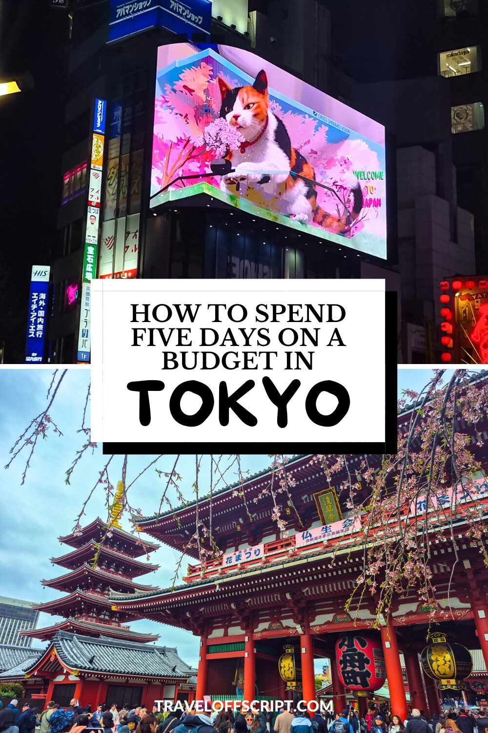 how to spend 5 days in tokyo - traveloffscript