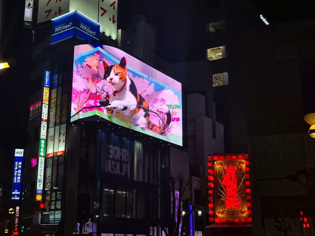 shinjuku 3d cat