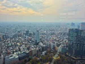 tokyo skyline from government building