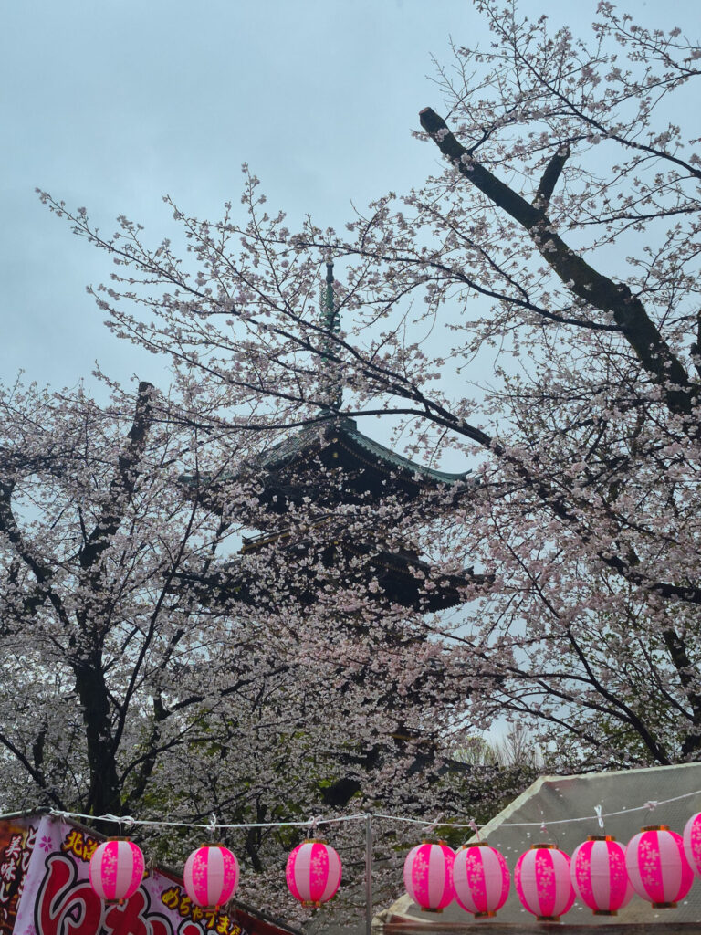 ueno park lanterns