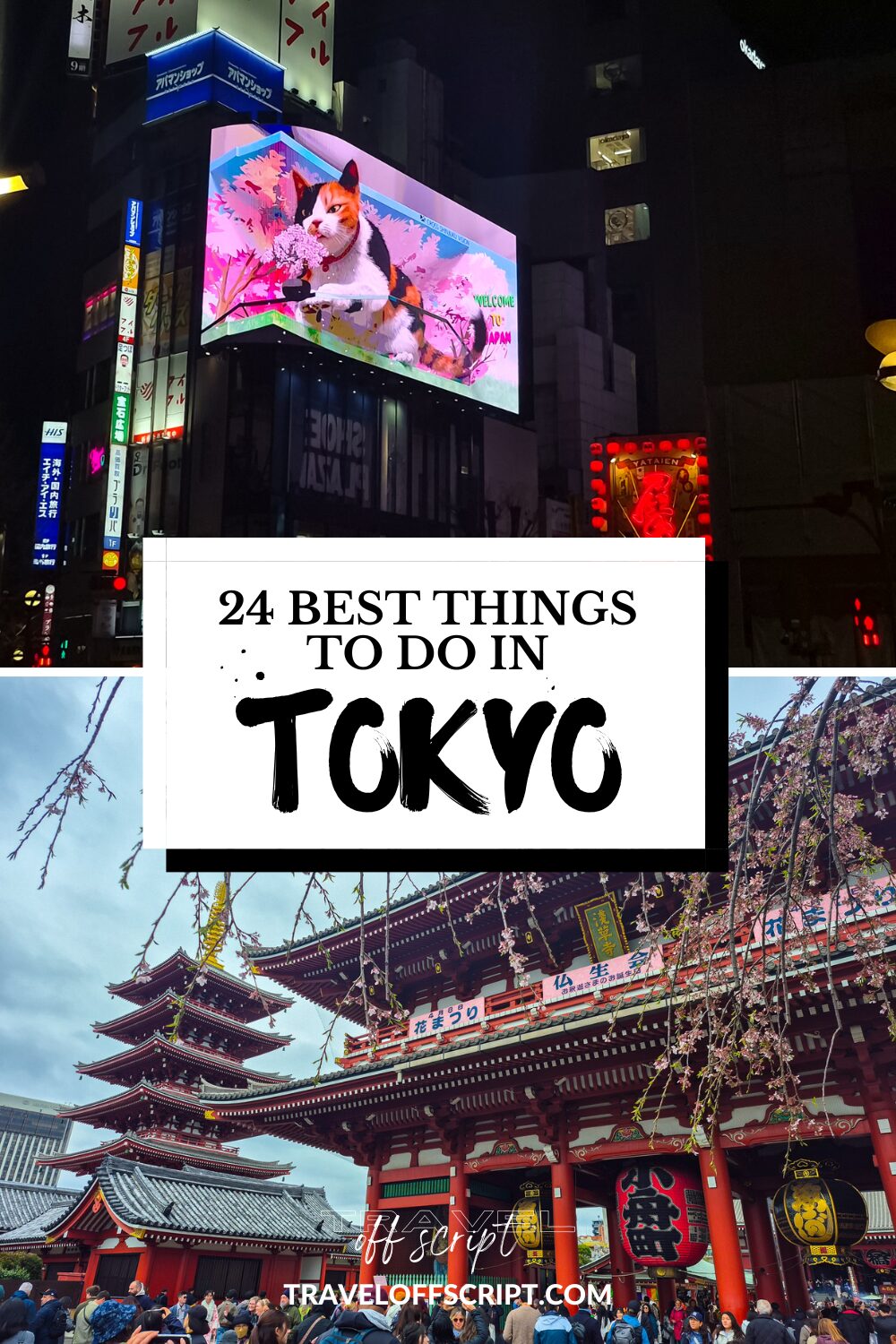 24 best things to do in tokyo - traveloffscript