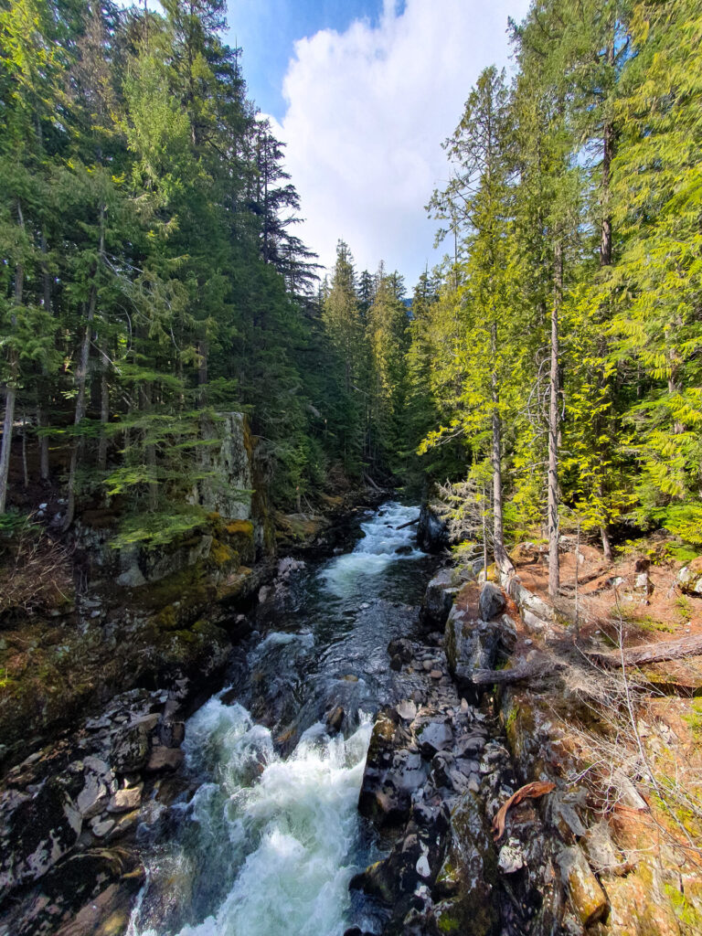 Whistler hike